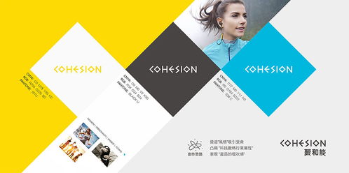 東莞企業(yè)形象設計與網(wǎng)絡技術服務的融合策略